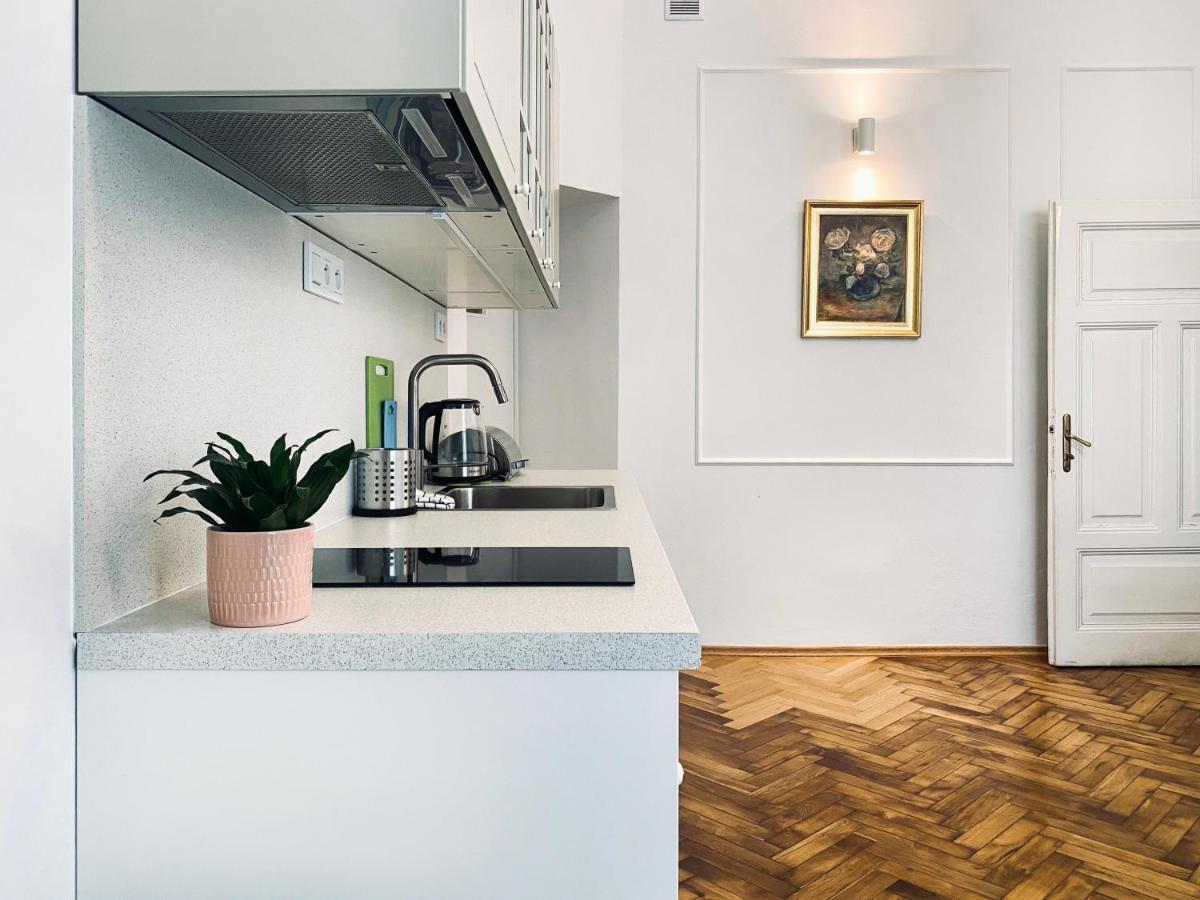 Beautiful Apartment With Two Rooms, Cracow Old Town Krasków Eksteriør bilde
